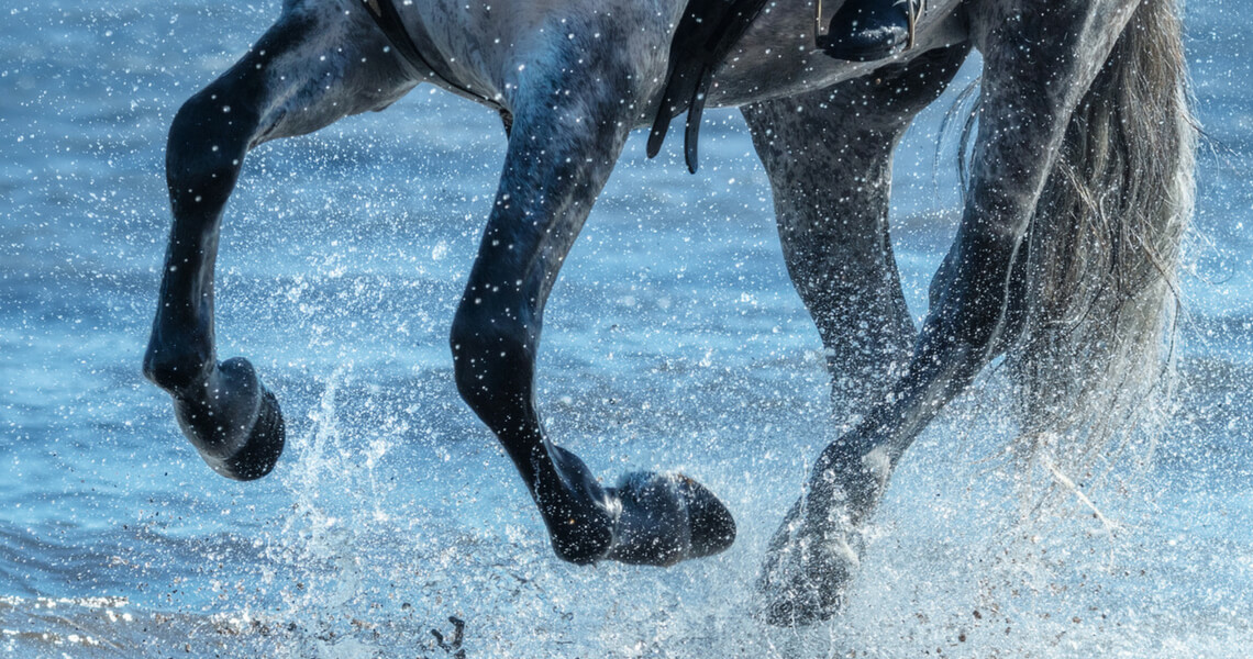 Horse Riding Moments to Be Grateful For