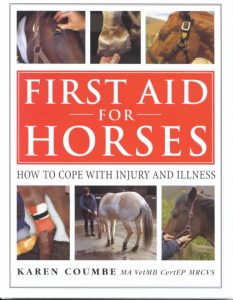 first aid for horses
