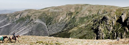 MOUNT BOGONG HORSEBACK ADVENTURES