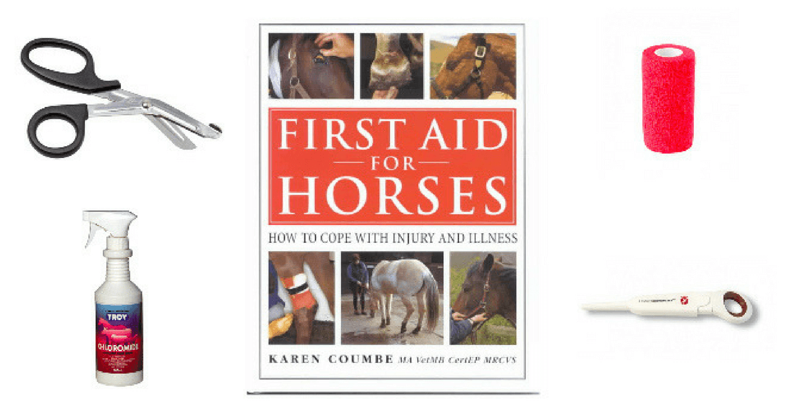 Top 5 Products for your Equine First Aid Kit