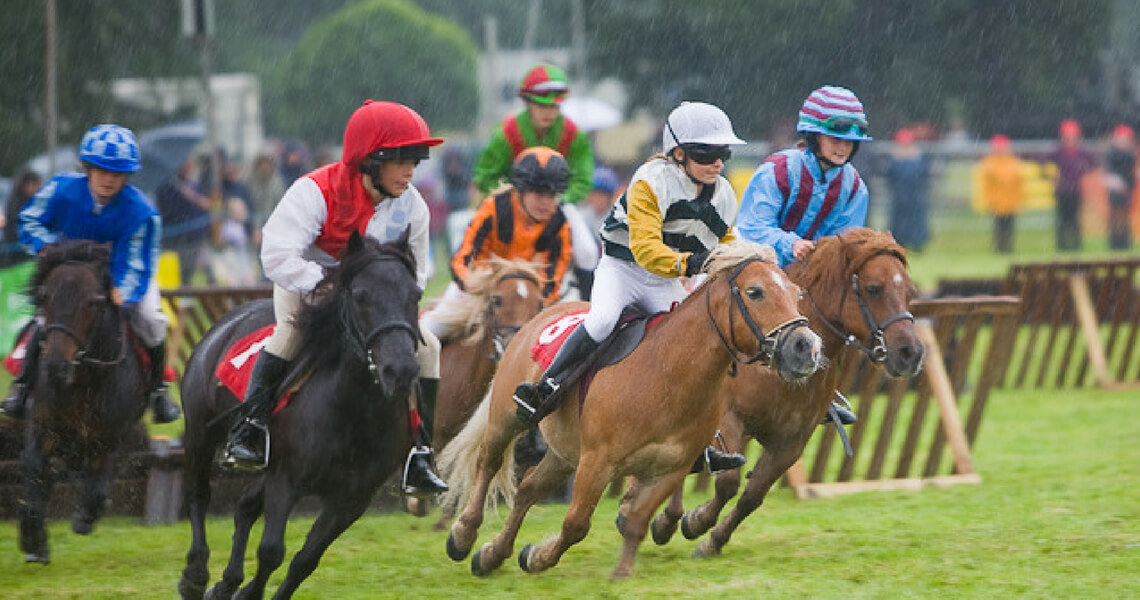 Steeplechasing Shetlands Steal the Show – Video