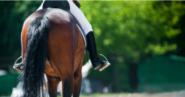 The equestrian’s playlist: 10 songs to ride to