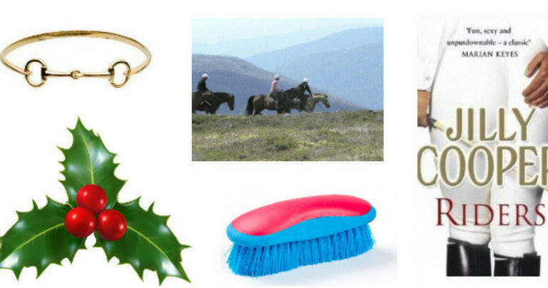 Christmas gifts for horse lovers