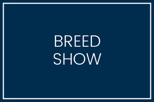Pinjarra Horse and Pony Club All Breeds Spectacular logo