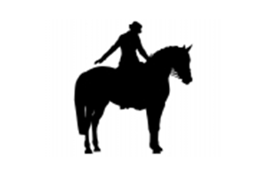 Open Unofficial Dressage at the SEC International Arena logo