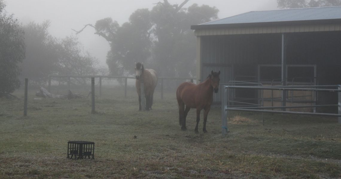 Having trouble finding buyers for your horse?