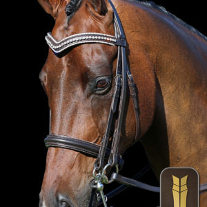 Havana 2 in 1 Gel Padded English Leather Double Bridle