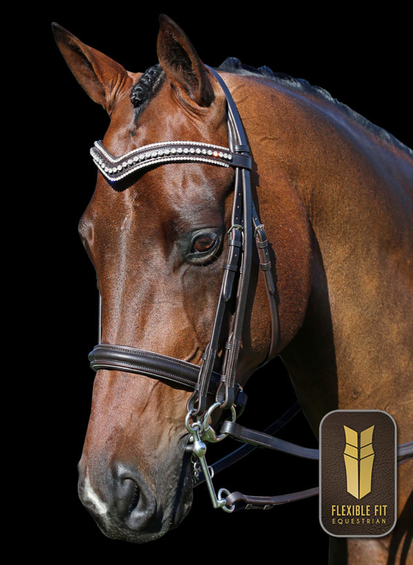 Havana 2 in 1 Gel Padded English Leather Double Bridle