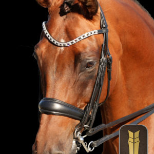 Black 2 in 1 Gel Padded English Leather Double Bridle