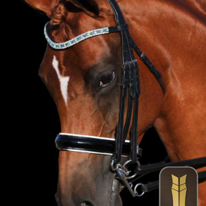 Black Gel Padded English Leather Monocrown Double Bridle