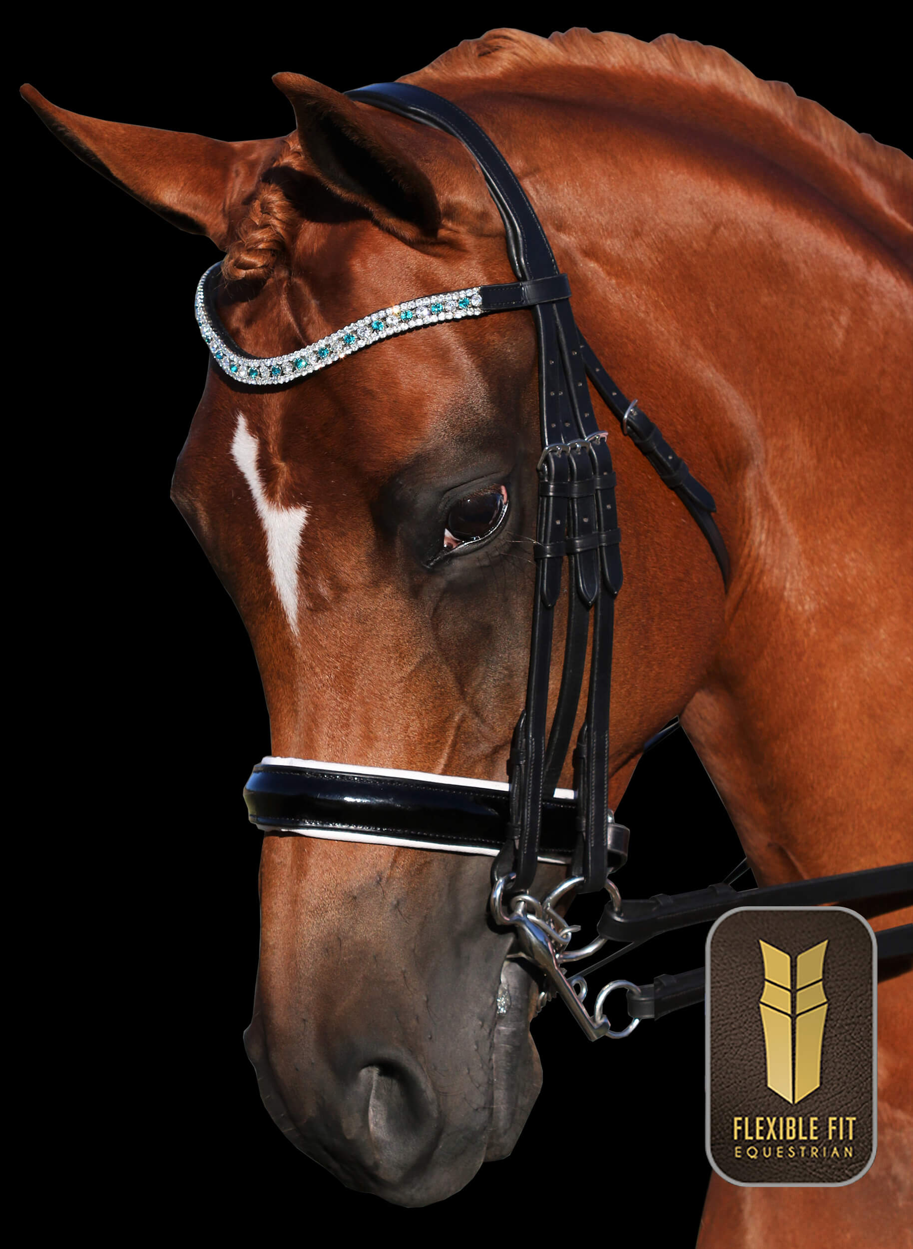 Black Gel Padded English Leather Monocrown Double Bridle