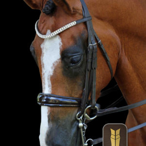 Havana Gel Padded English Leather Monocrown Double Bridle