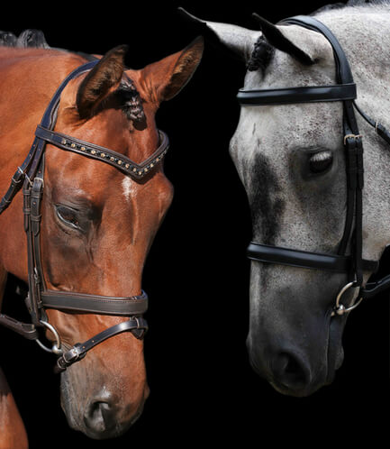 Build a custom Flexible Fit bridle