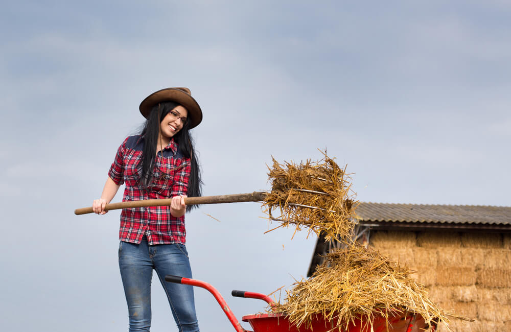 Stable chores as an exercise for horse riders