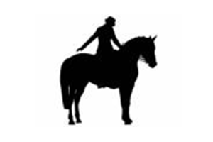 2018 Open Unofficial Dressage logo