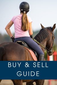 Buying and Selling Horses on Cavalletti