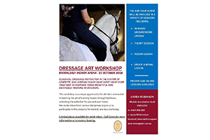 Dressage Art and jumping Workshop