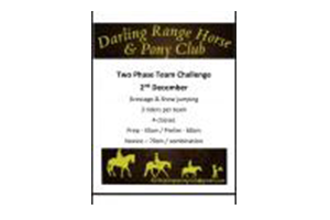 DRHPC Two Phase Team Challenge logo