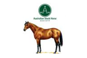 Stock Horse Youth Camp and Clinic