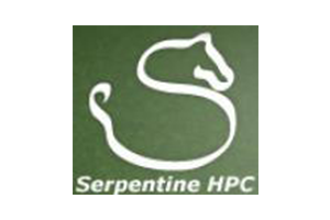 Serpentine Dressage