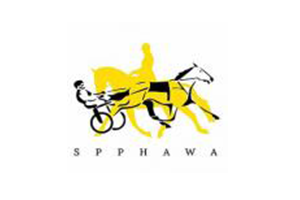 SPPHAWA Working Hunter Championships & Fashions on the Field