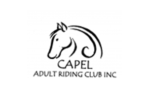 Capel Encourage Halter and Ridden Show