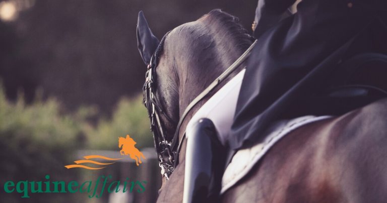 Online Equestrian Event Management System set to launch in Australia