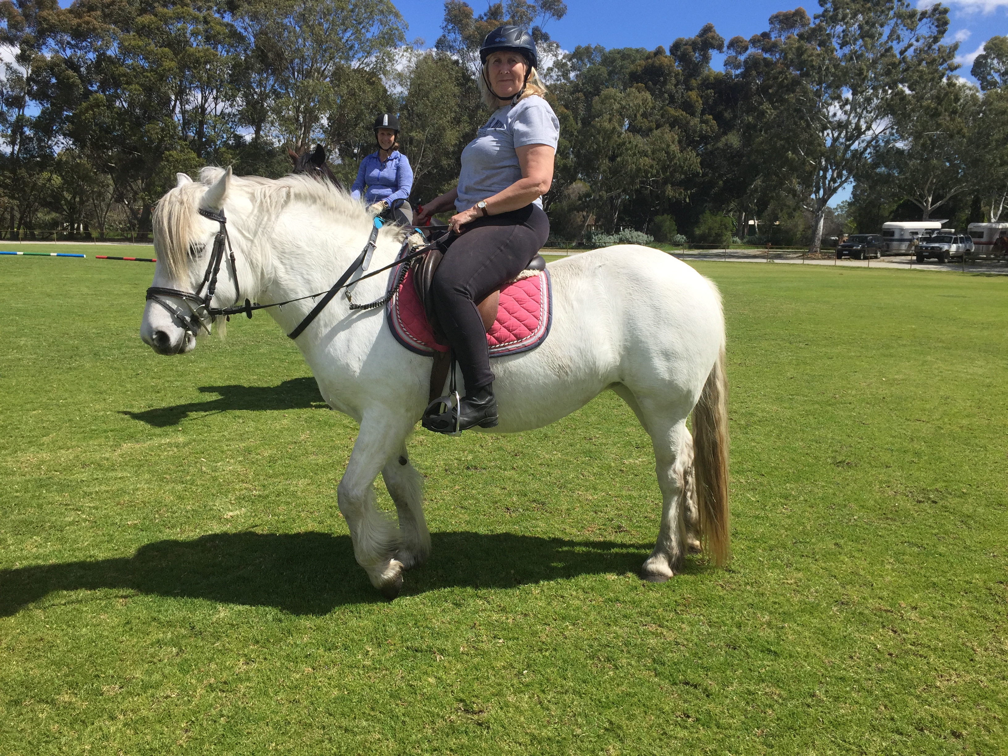 Horse Riding Lessons All Levels Children Adults Private Semi Private