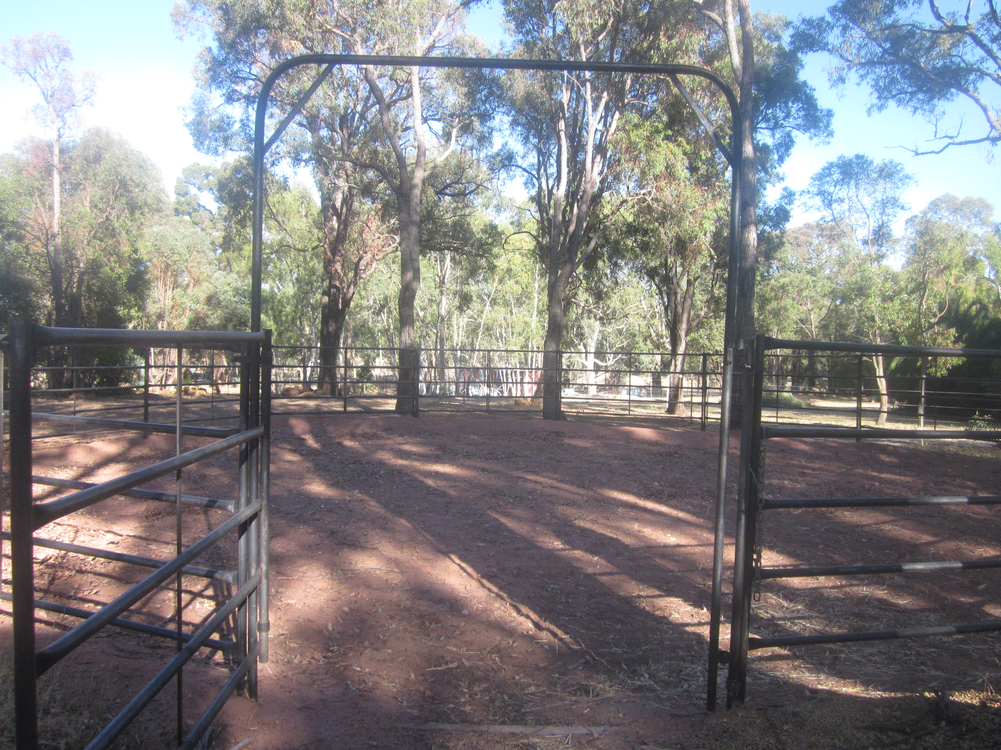 Agistment Centre - Rosewood Farm | Cavalletti Equine ...