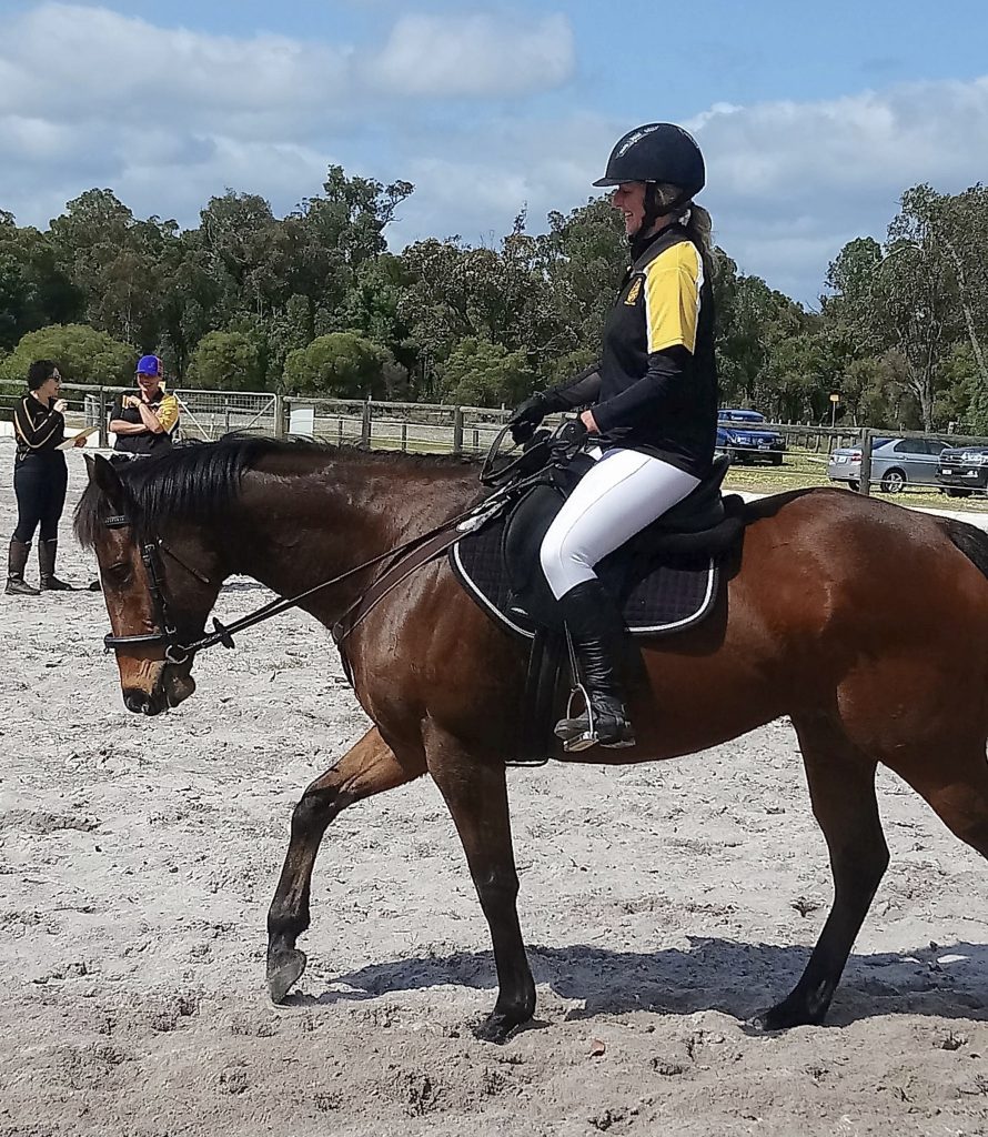 Allrounder ready for more Cavalletti Equine Marketplace