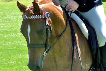 Leadline and First Ridden