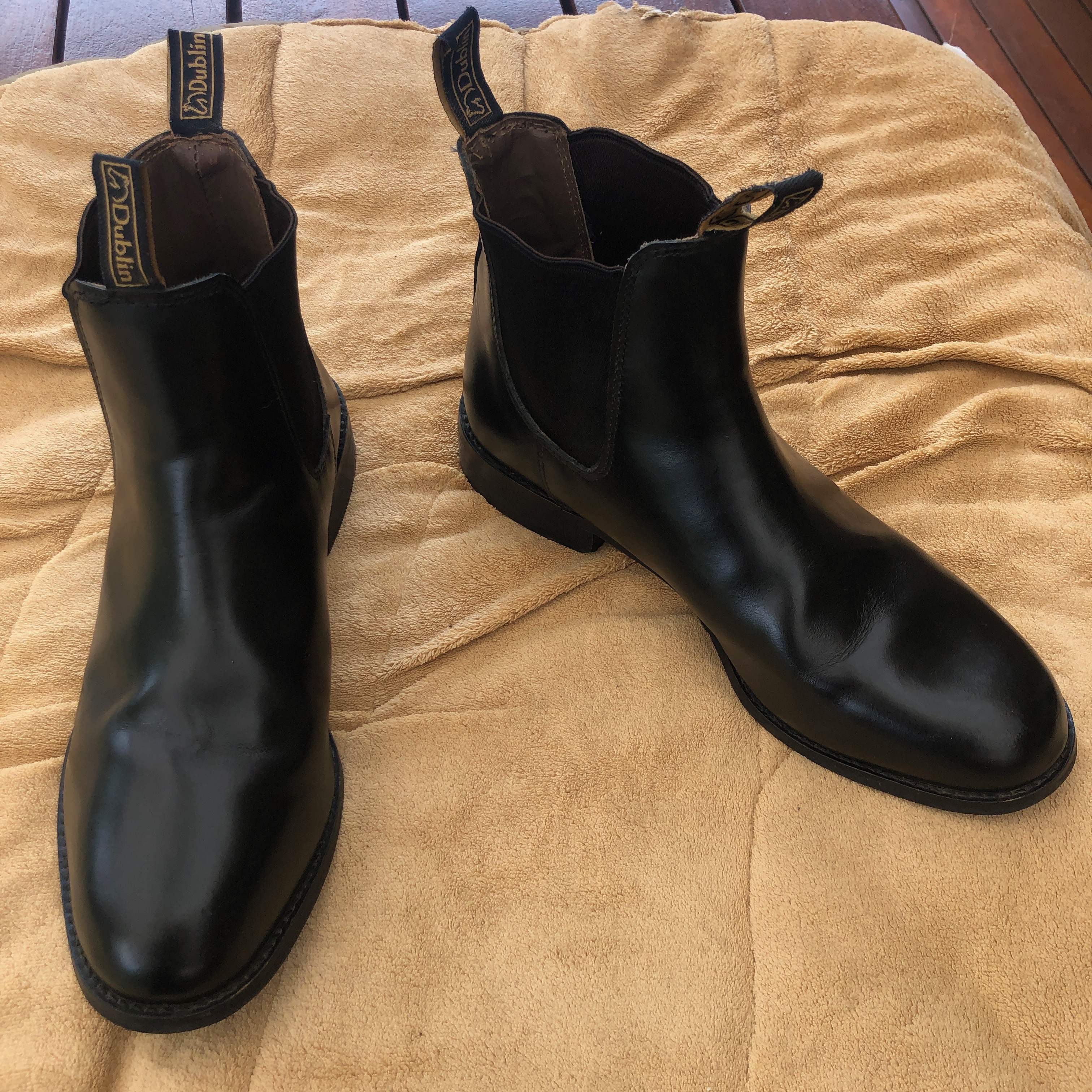 Dublin Jodhpur Riding Boots | Cavalletti Equine Marketplace