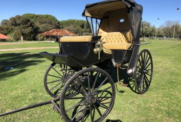 Stunning Horse Drawn Carriage