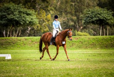 Beautiful Allrounder: Lease considered