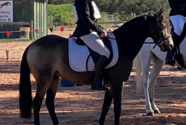 BONDSI JACK DETECTIVE BONES AKA “Bones” – Second Ridden ALL ROUNDER