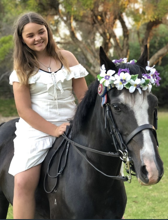 Beautiful allrounder Childs pony Cavalletti Equine Marketplace