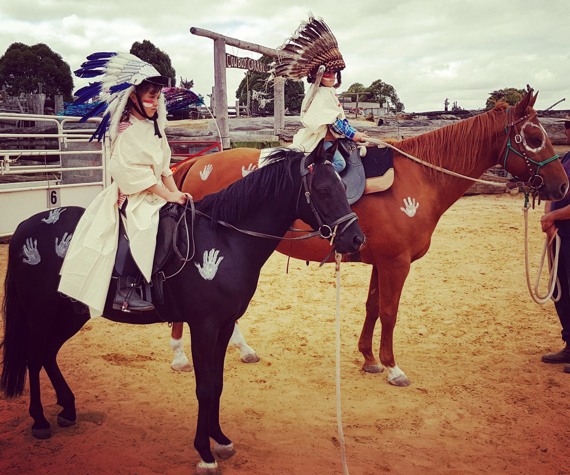 Perfect Allrounder Children’s Pony Cavalletti Equine Marketplace