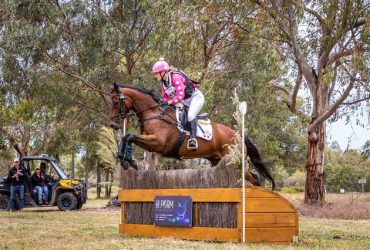 Competitive Pony Club Eventer/Showjumper