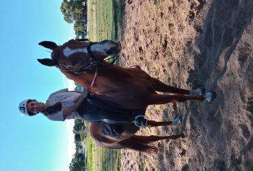 Experienced Rider in Fremantle