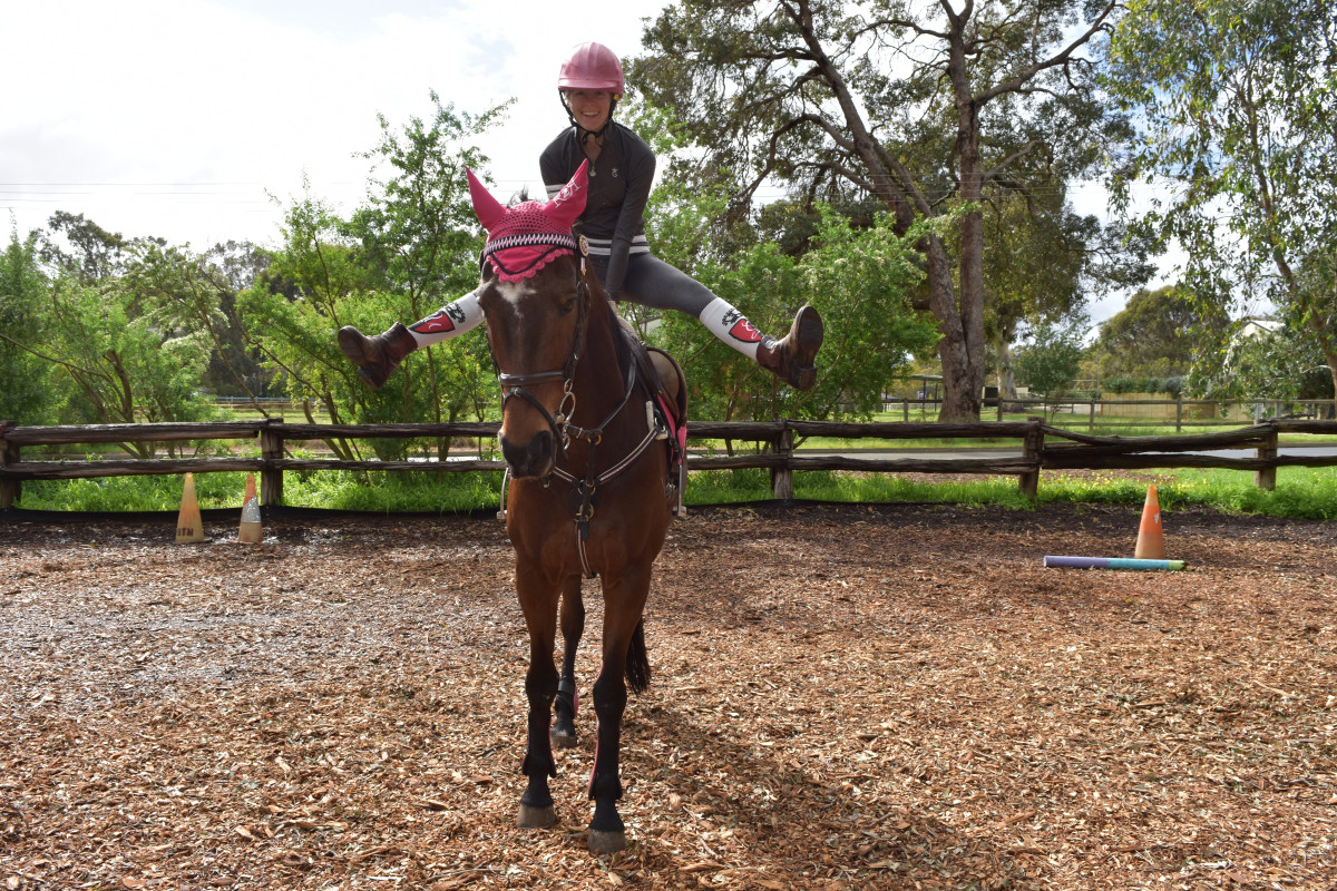 Equestrian Property Cavalletti Equine Marketplace