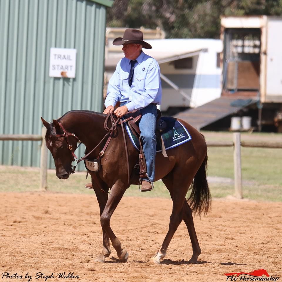 Horse Starter, Trainer & Re-education