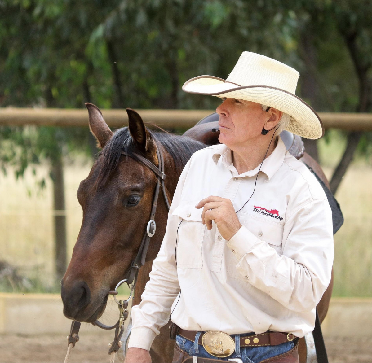 Horse Starter, Trainer & Re-education