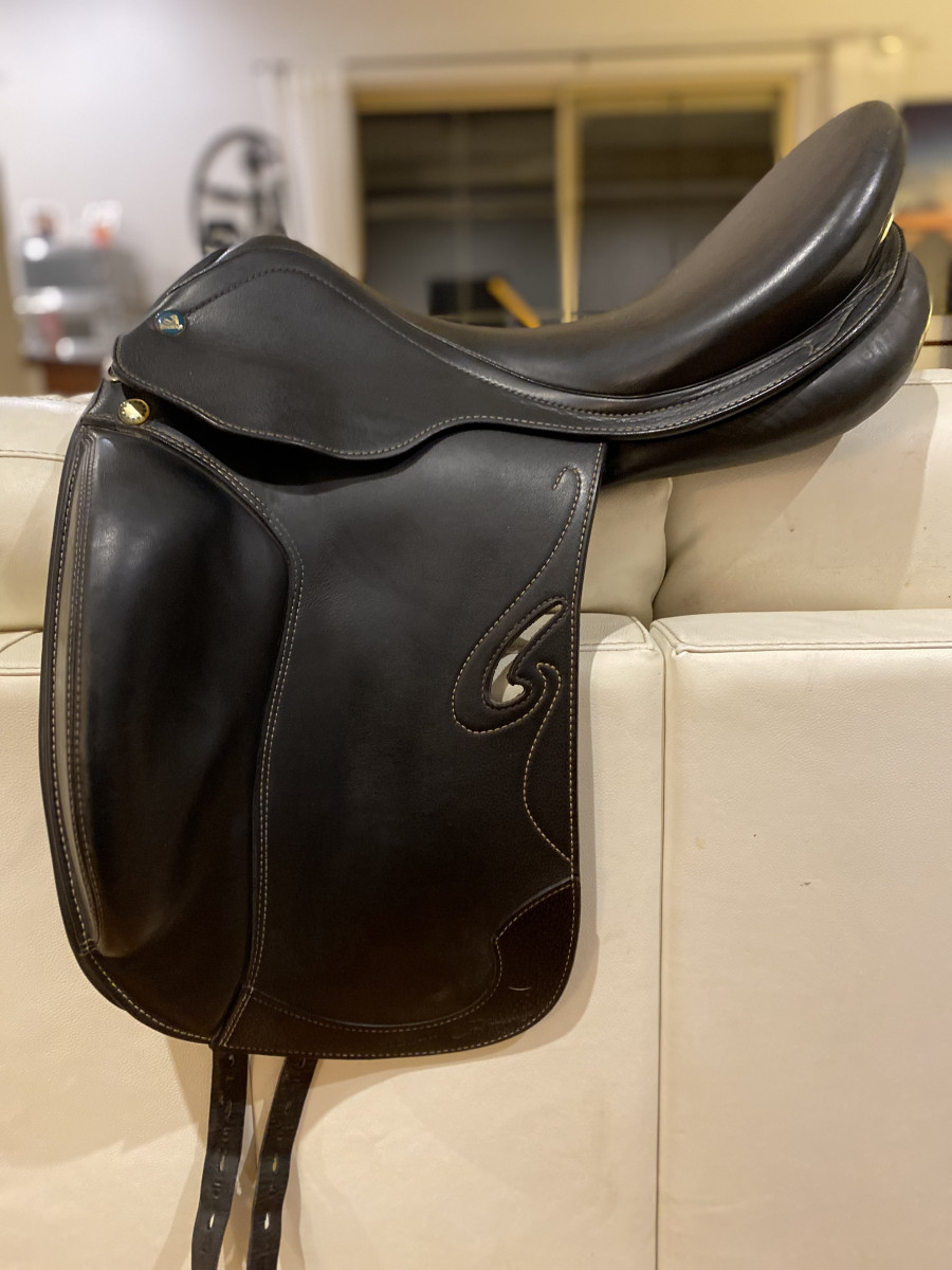 Prestige passion dressage Cavalletti Equine Marketplace Prestige passion dressage Cavalletti Equine Marketplace