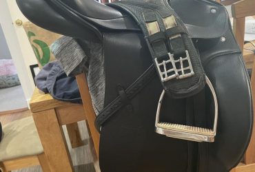 Black 17.5 Passier Corona II saddle