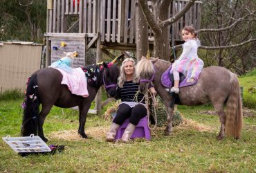 Pony party Business for Sale $17,000