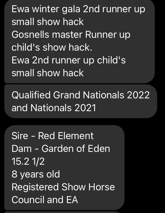 Grand national qualifier 2022