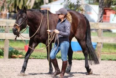 Do you feel like you’re not ‘good enough’ to train and ride your horse?