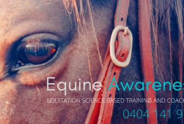 Equitation Science Based Training & Coaching