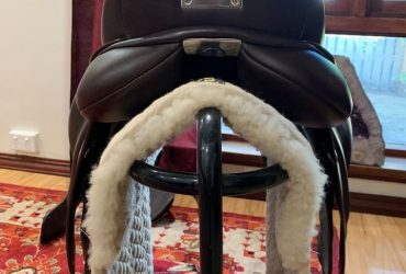 Brown Bates Dressage Saddle with CAIR 16.5″