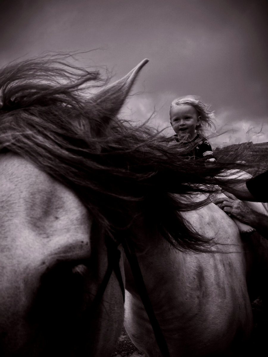 Safin Equestrian Albany WA